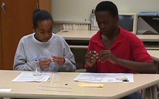 Two pac students work together to make their crystals.