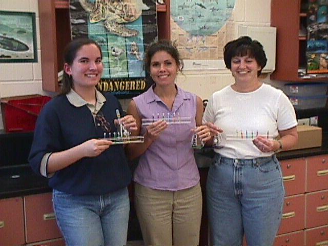 Brevard Teachers- Jennie Asher, Lisawall-Campeau, and Katie Webb (left to right)
