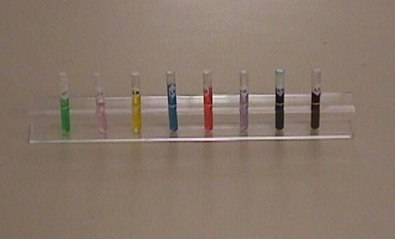 Colored dye was used to indicate the various salt concentrations